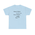 I Hear Voices- Fun T-shirt